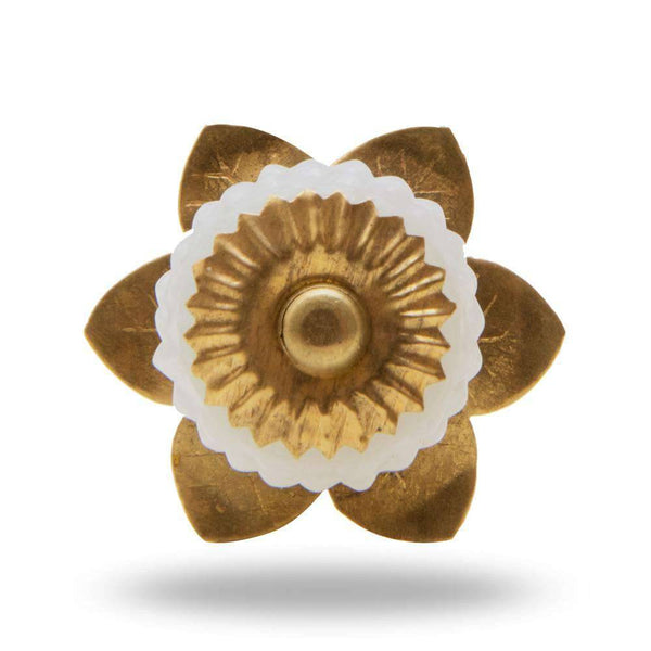 Set of Six Glass Berry Novelty Knob Multipack