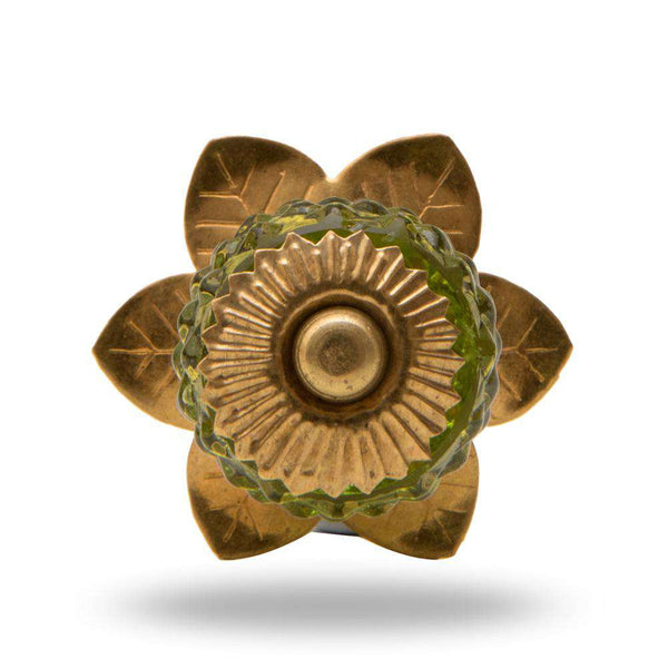 Set of Six Berry Novelty Knob Multipack