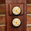 Set of Six Ceramic Dance Round Knobs Multipack