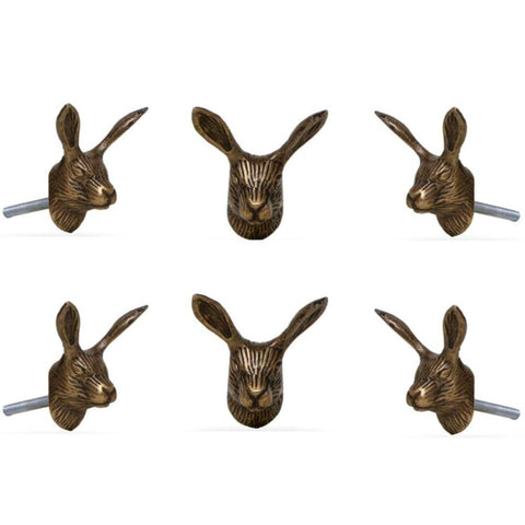 Set of six Reno Brass Rabbit Knobs