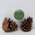 Set of Six Potter Ceramic Knobs